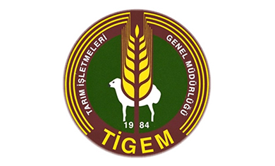 tigem-logo