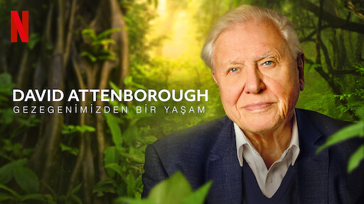 David Attenborough Gezegenimizden Bir Yaşam